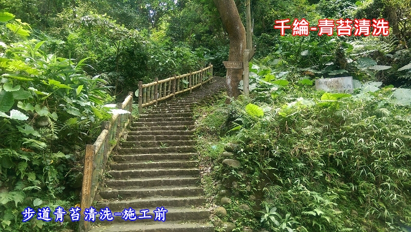 千綸-步道青苔清洗